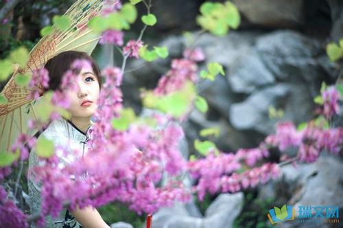 玫瑰花的拟人化句子