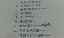 关于蚂蚁的歇后语