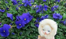 2019空间说说心情