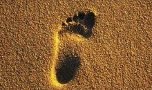 永不放弃之心，将成为贯穿逆境之光