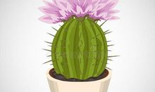 仙人掌的比喻句