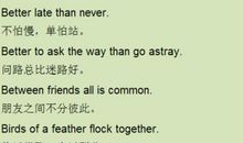 英语常用作文谚语