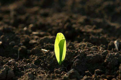 永不放弃的心将在逆境中成为光明1