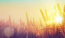 怀揣着梦想，将家深深的刻在心头，以梦为马，随处可栖