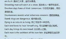 英语谚语作文常用