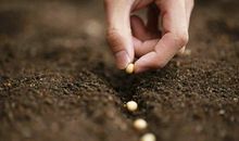 希望是美好的，它就像钻石一样闪耀，不试试怎么知道希望存不存在