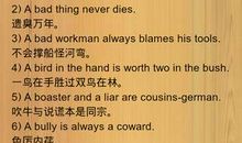 常用英语作文谚语大全