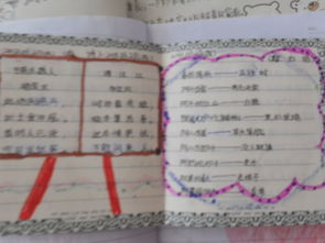 手表中的好单词和句子