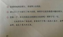 银杏树写拟人句