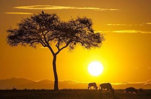 漂亮的句子描述日出