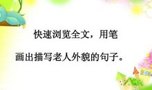 描写老奶奶外貌的句子