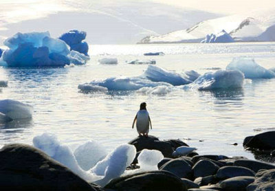 通往未来的道路无法与南方，东方和北方区分开，但我只知道梦想离此遥远1