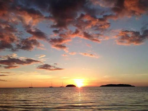 描述夏夜的句子