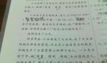 神态描写的句子大全