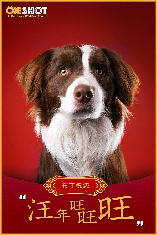 狗年的精彩短信