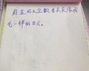 友谊是一个隐喻