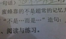 用不而是造句大全