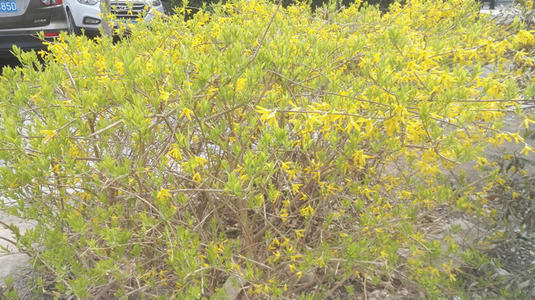 比喻句子描述波