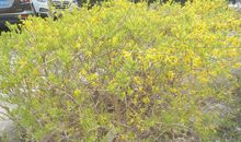 描写浪花比喻句