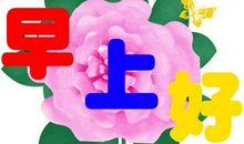 搞笑早晨祝福语