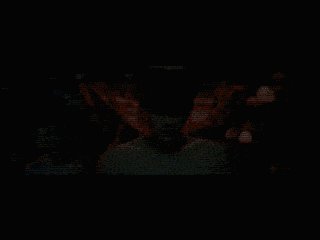 动物世界线集合