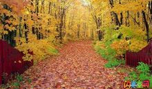 描写秋景的比喻句