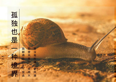 蜗牛精神励志句子励志名言