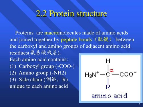 关于药学的游戏口号
