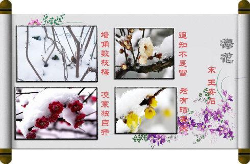 美华写拟人化的句子