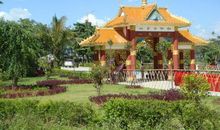 叫花子要黄连歇后语