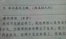 用梅花写拟人句