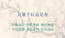 万紫千红造句大全