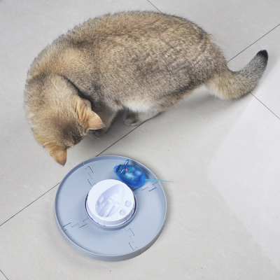 老鼠戏弄猫寓言