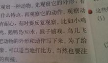 描写人的动作句子