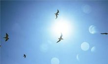 qq经典个性说说心情短语