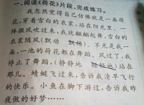 为猫写拟人化的句子