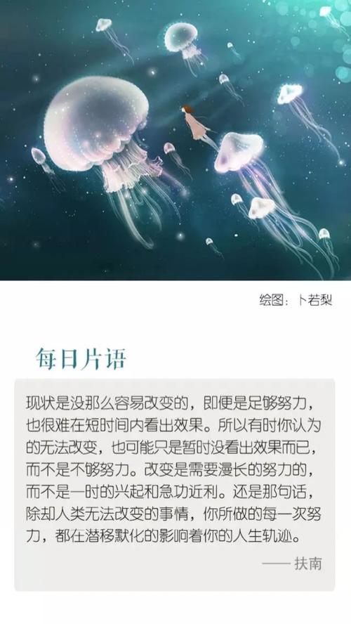 感受优美的句子