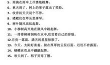 校园景色比喻句