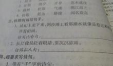 以蝴蝶写拟人句