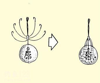 同样的东西，但句子之间的差异很小