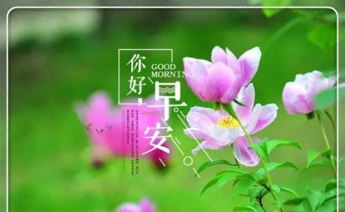 最美好的早晨祝福