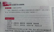 描写动作神态的句子