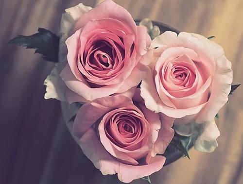 好女朋友的婚礼愿望