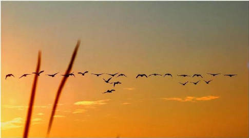 关系破裂后的座右铭