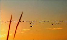 感情破裂后的格言