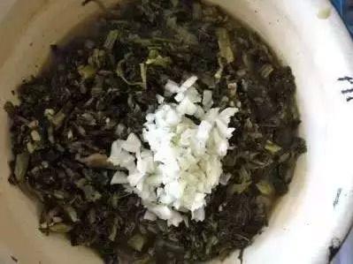 石头裂缝中的竹笋