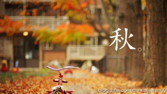 禅语句子感知爱