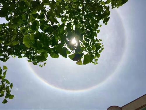 谚语描述美丽的风景