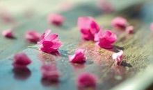 表示心情沉重的句子