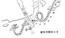 打蛇随棍上歇后语